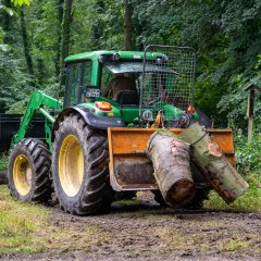 Traktor bringt Baumstämme auf die Lichtung